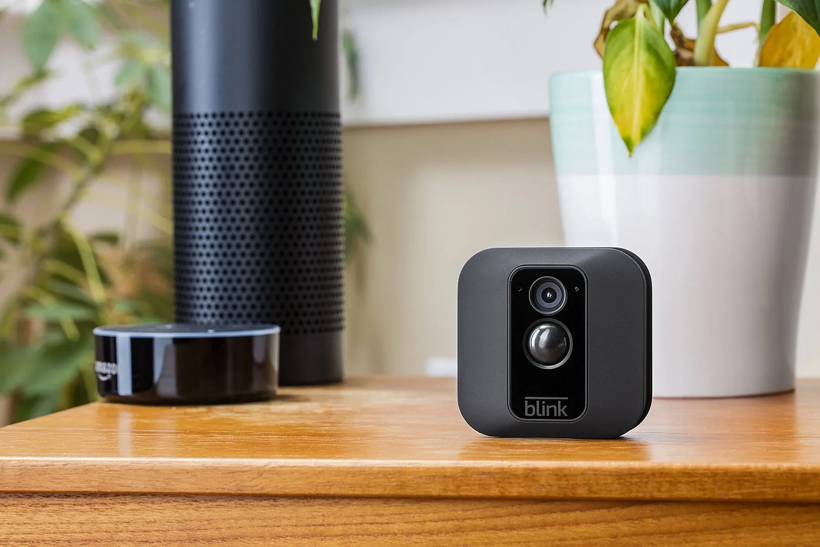 Blink security camera on a wooden table beside an Amazon Echo and a plant